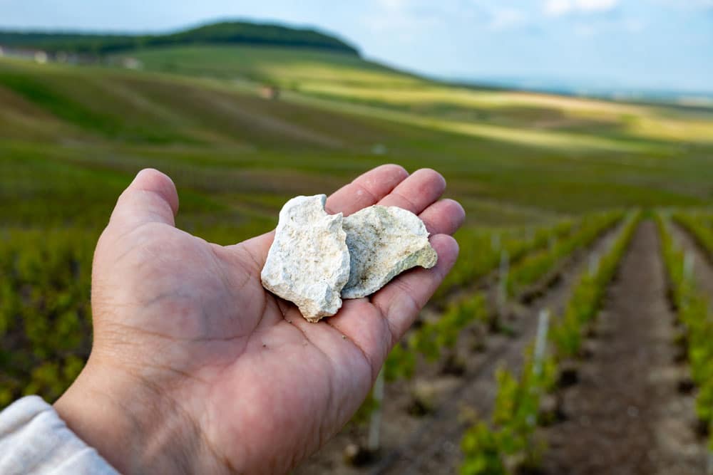 A quoi servent les crayères en Champagne ?